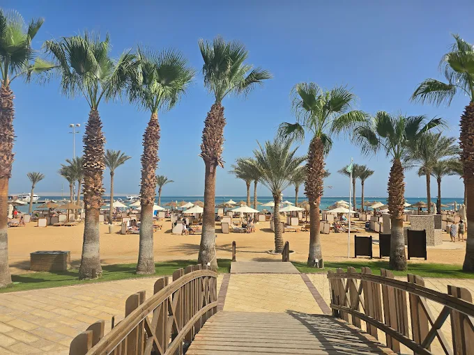 Steigenberger Al Dau Beach Hotel — beach and palm trees, Hurghada